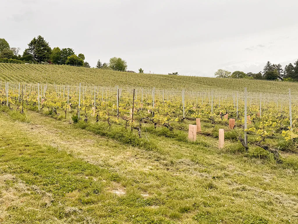 Nyon à vendre Villa Suisse - cChic-immoHub votre portail immobilier