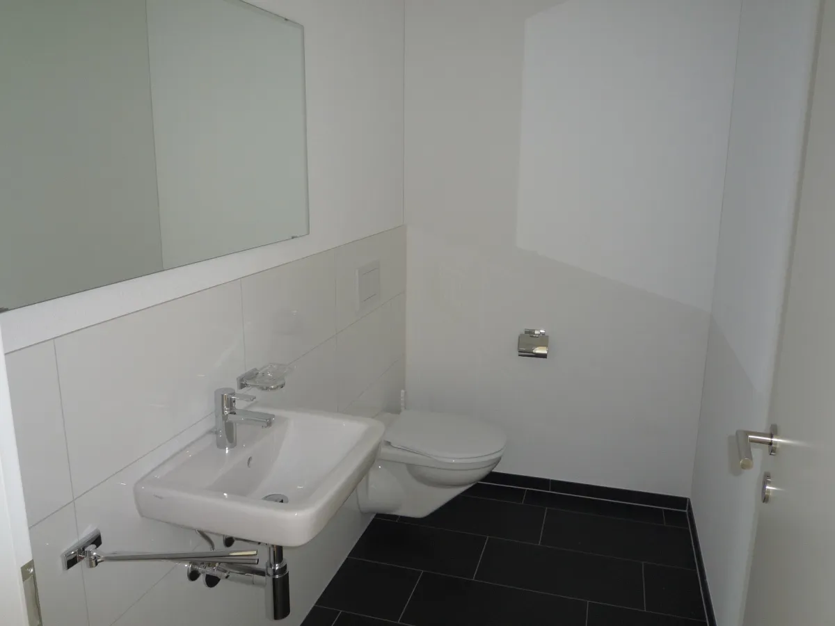 To rent   Switzerland - cChic-immoHub your real estate portal