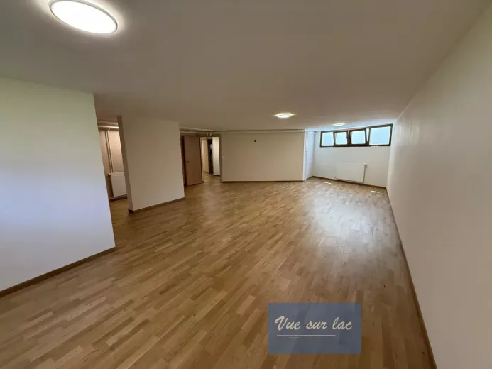Casa in vendita a Vessy - Villa in vendita a Vessy, 9 locali, 292 m2 - Smart Propylaia (12)