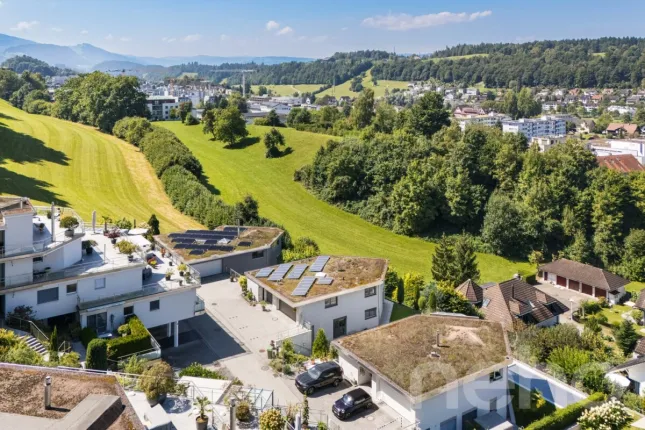 House for sale in Ebikon (2)
