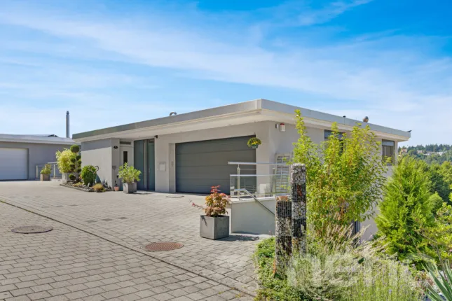 House for sale in Ebikon (4)