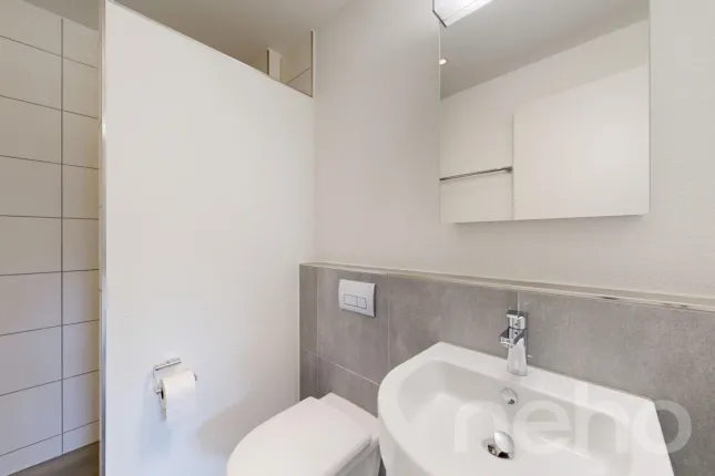 Apartment for sale in Hausen am Albis (8)