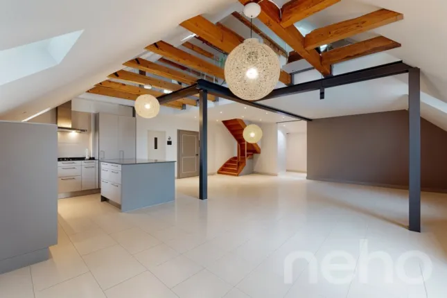 Apartment for sale in La Chaux-de-Fonds (15)