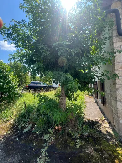 Mehrfamilienhaus zu verkaufen in Villars-sur-Fontenais - Mehrfamilienhaus zu verkaufen in Villars-sur-Fontenais, 10 Zimmer - Smart Propylaia (9)