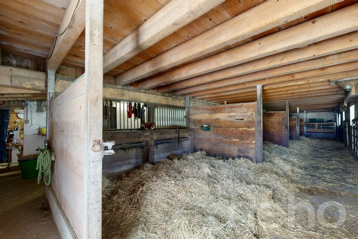 Les Breuleux for sale Farm Switzerland - cChic-immoHub your real estate portal