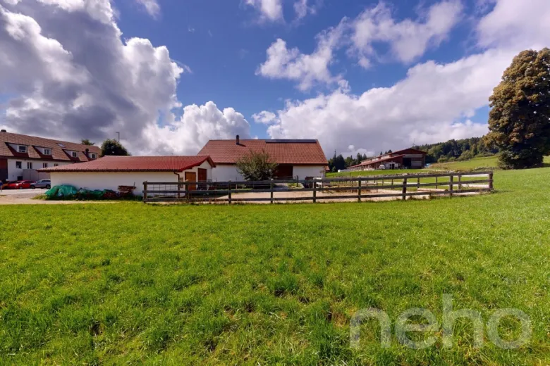 House for sale in Les Breuleux - Farm for sale in Les Breuleux, 8 rooms, 327 m2 - Smart Propylaia (12)