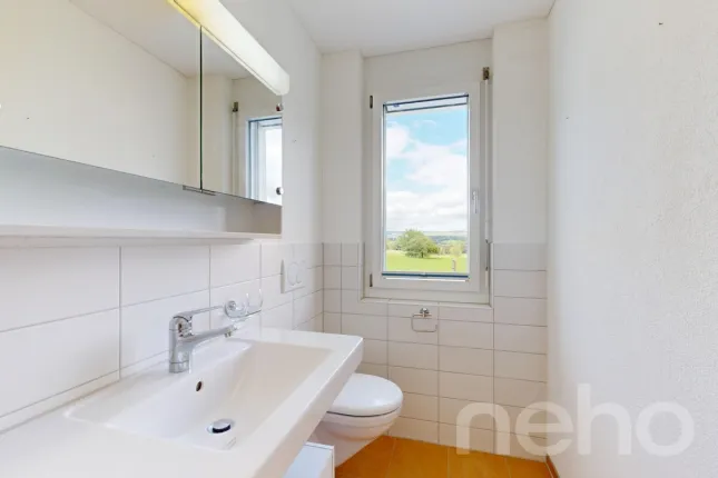 House for sale in Hellbühl (10)