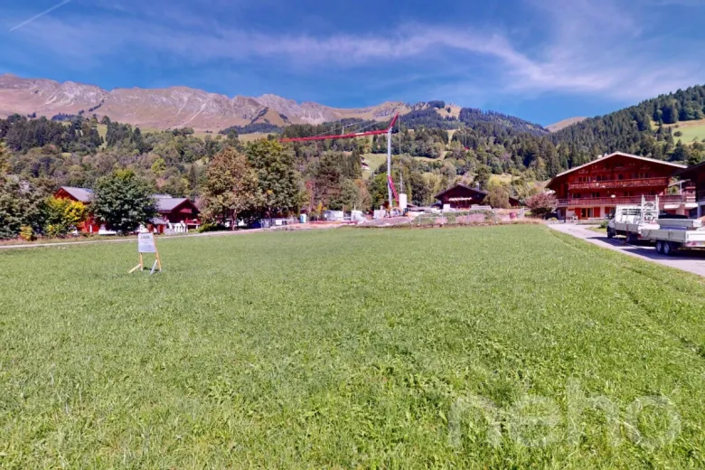 Grundstück zu verkaufen in Les Diablerets - Bauland zu verkaufen in Les Diablerets, 2369 m2 - Smart Propylaia (9)