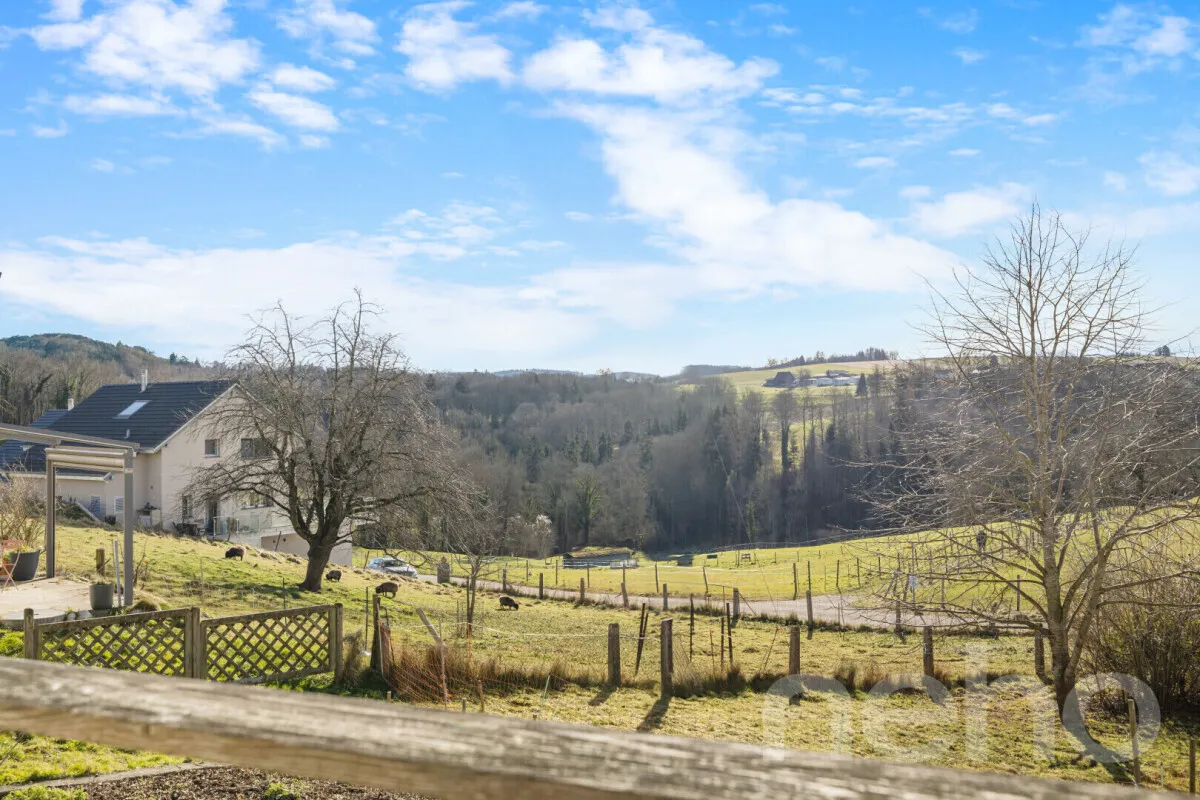 Chavannes-le-Chêne zu verkaufen Mehrfamilienhaus Schweiz - cChic-immoHub Ihr Immobilienportal