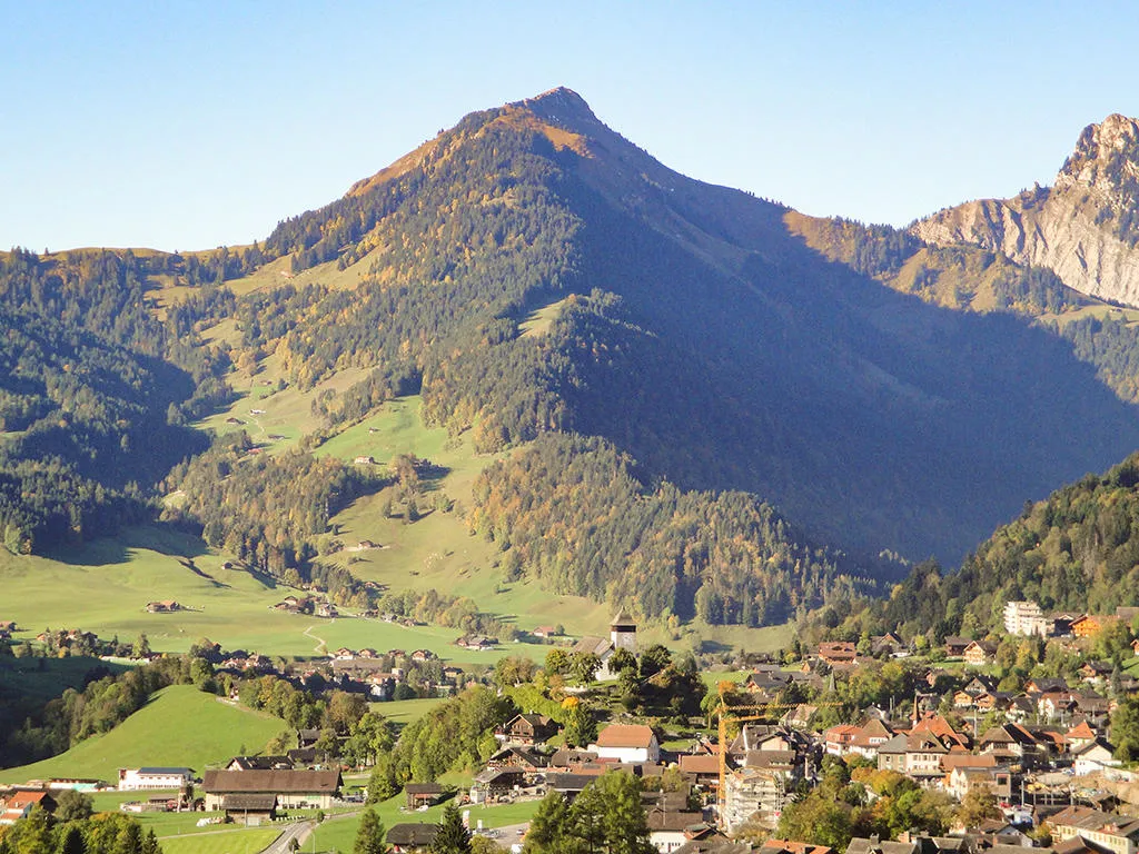 Château-d'Oex à vendre Appartement Suisse - cChic-immoHub votre portail immobilier