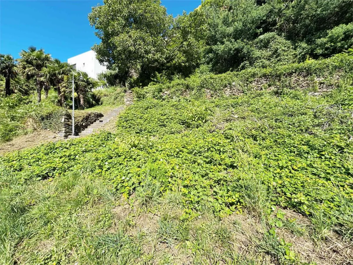 Brissago In vendita Terreno Svizzera - 
cChic-immoHub Il vostro portale immobiliare