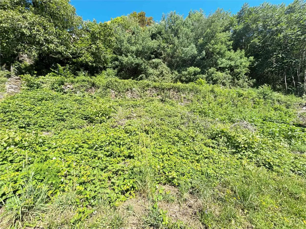 Brissago In vendita Terreno Svizzera - 
cChic-immoHub Il vostro portale immobiliare