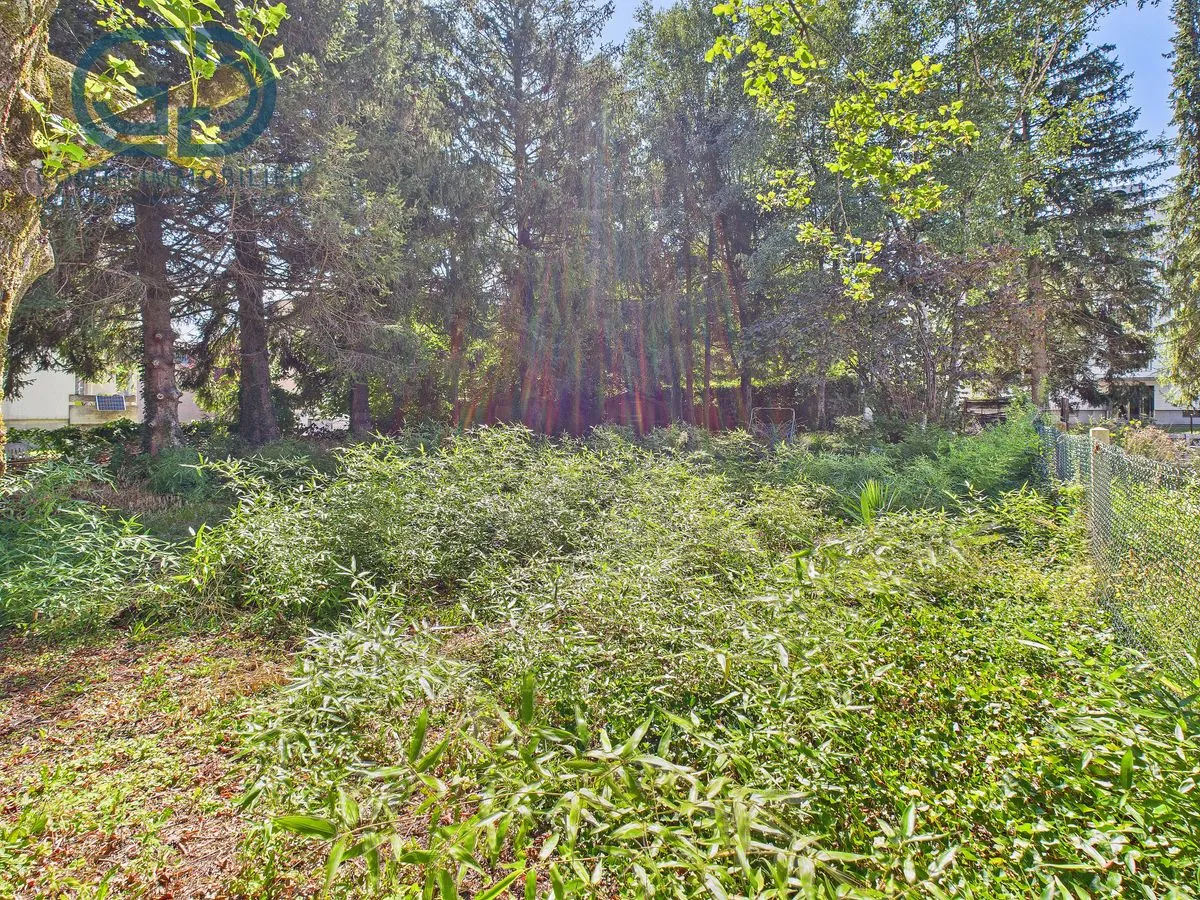 Bassecourt à vendre Terrain à bâtir Suisse - cChic-immoHub votre portail immobilier