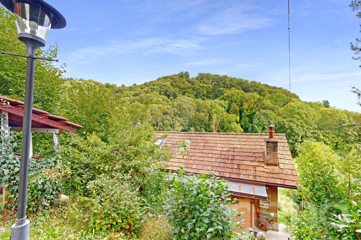 Le Mont-sur-Lausanne zu verkaufen Bauland Schweiz - cChic-immoHub Ihr Immobilienportal