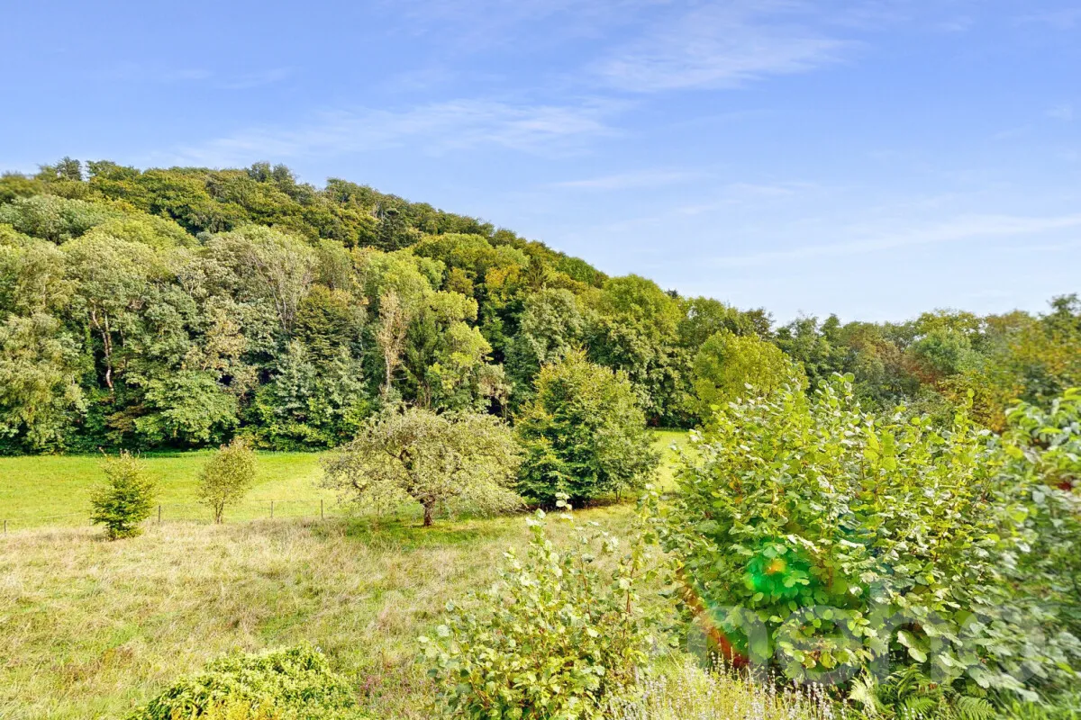 Le Mont-sur-Lausanne zu verkaufen Bauland Schweiz - cChic-immoHub Ihr Immobilienportal