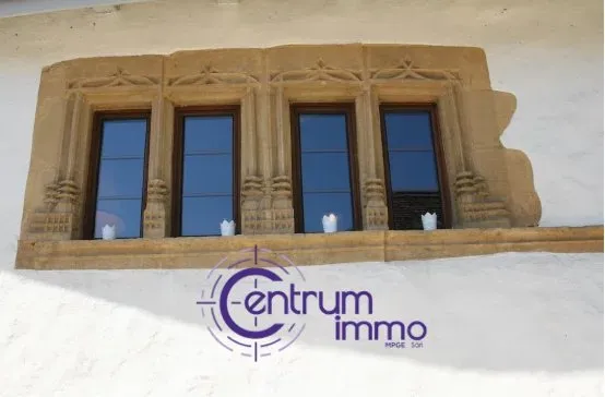 Concise zu verkaufen Anwesen Schweiz - cChic-immoHub Ihr Immobilienportal