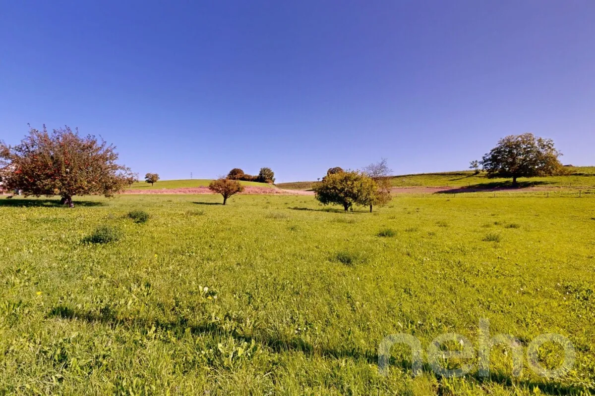 Daillens for sale Building plot Switzerland - cChic-immoHub your real estate portal