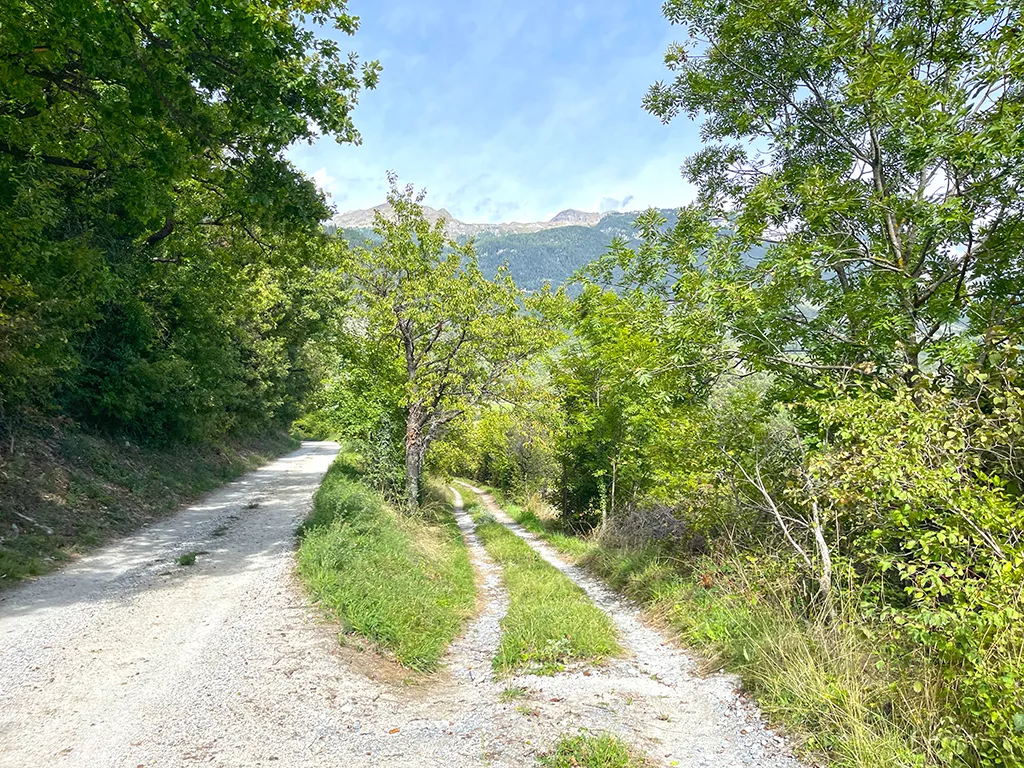 Veyras for sale Single house Switzerland - cChic-immoHub your real estate portal