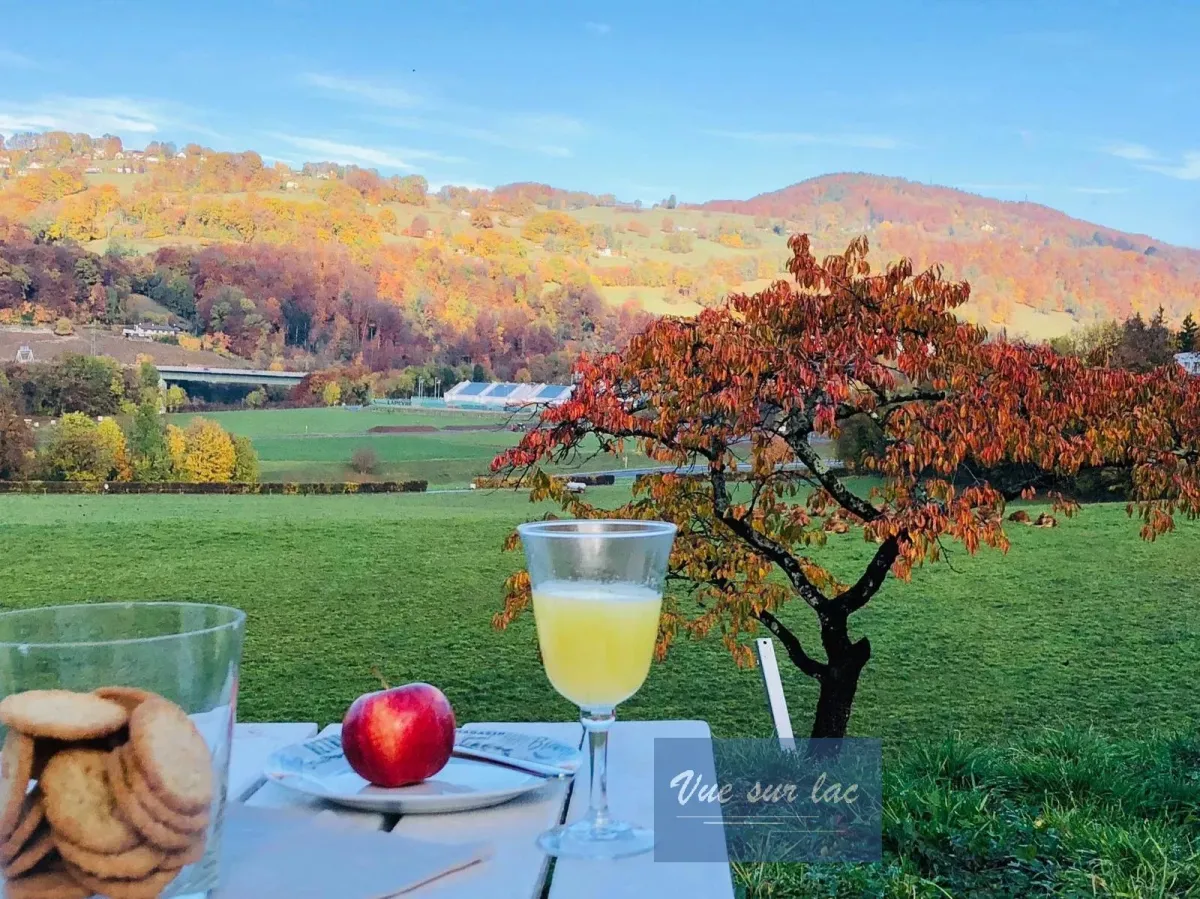 To rent   Switzerland - cChic-immoHub your real estate portal