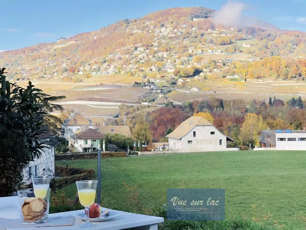 To rent   Switzerland - cChic-immoHub your real estate portal