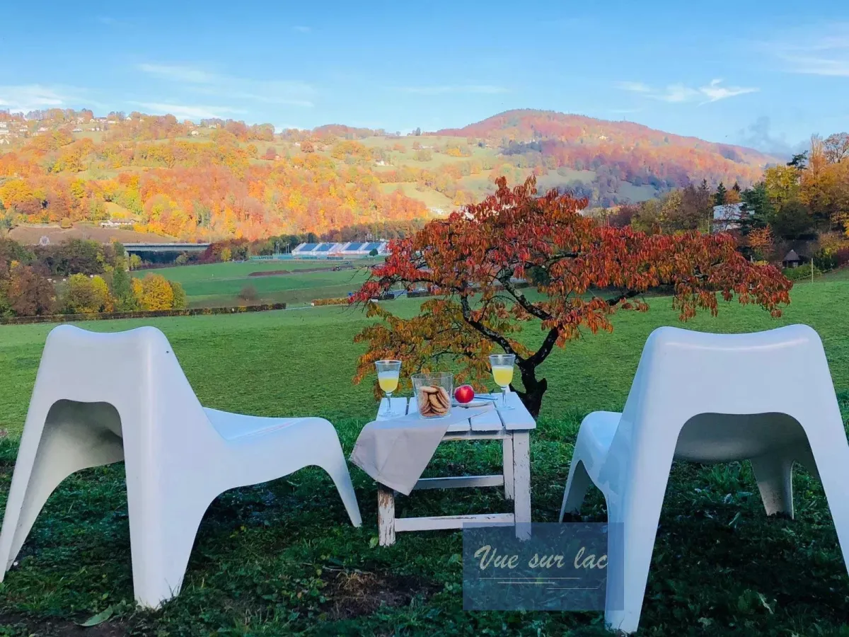To rent   Switzerland - cChic-immoHub your real estate portal