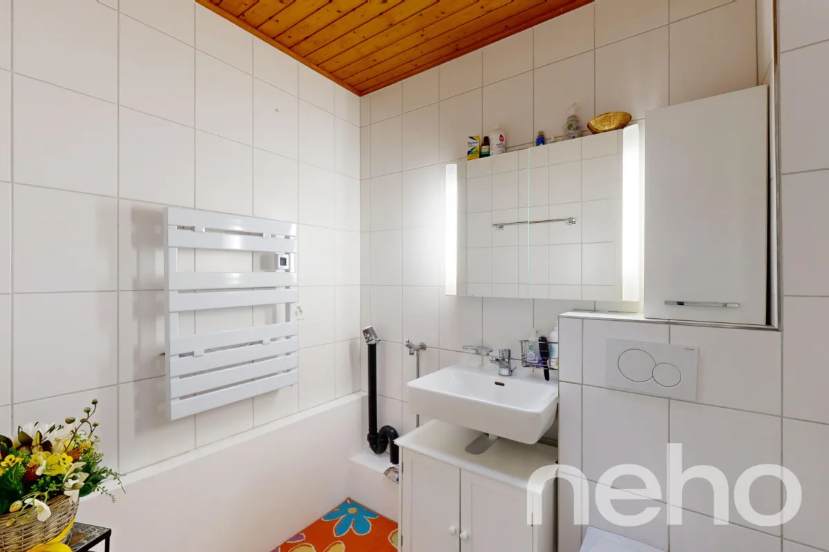 Welschenrohr for sale Single house Switzerland - cChic-immoHub your real estate portal