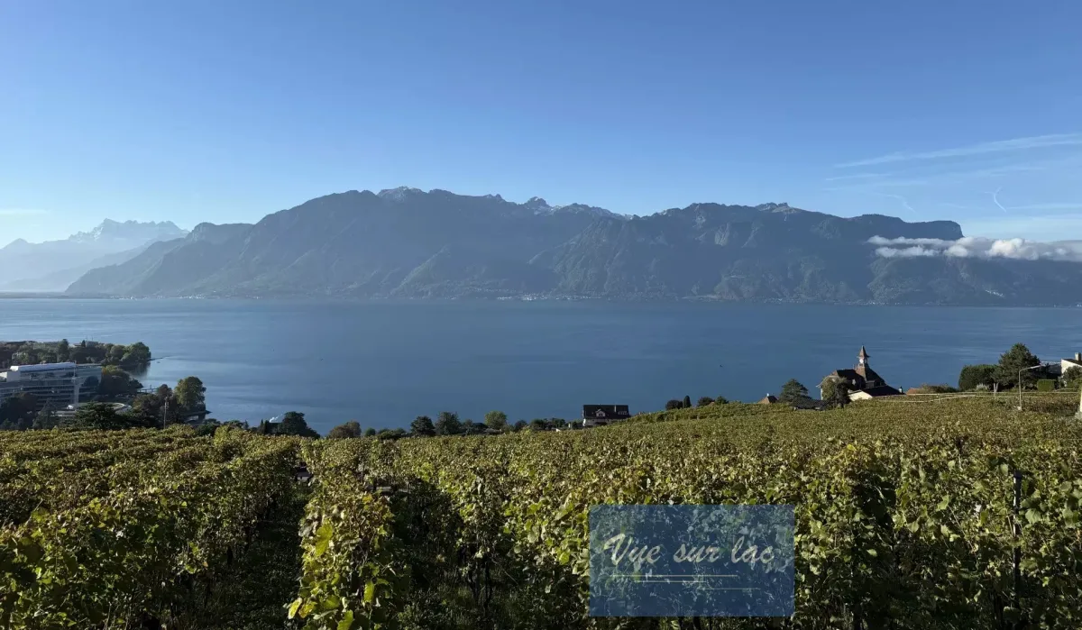 Corseaux In vendita Casa bifamiliare Svizzera - 
cChic-immoHub Il vostro portale immobiliare