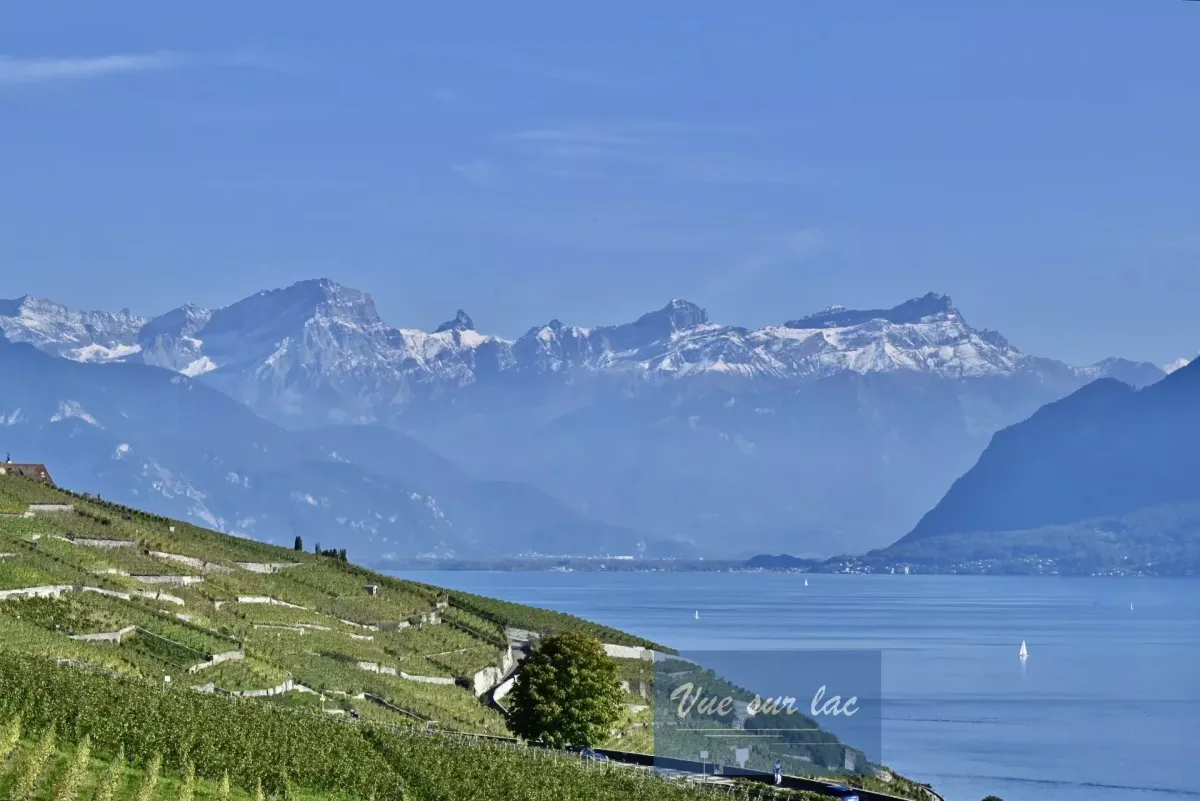 Grandvaux zu verkaufen Wohnung Schweiz - cChic-immoHub Ihr Immobilienportal