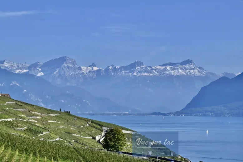 Zu verkaufen Grandvaux Wohnung Schweiz - cChic-immoHub Ihr Immobilienportal