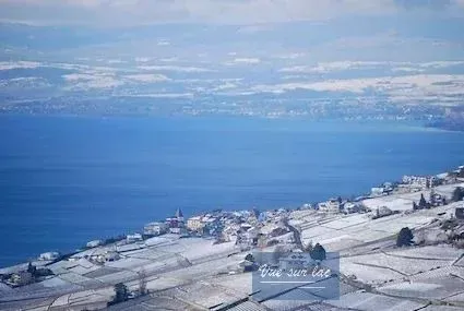 Grandvaux zu verkaufen Wohnung Schweiz - cChic-immoHub Ihr Immobilienportal