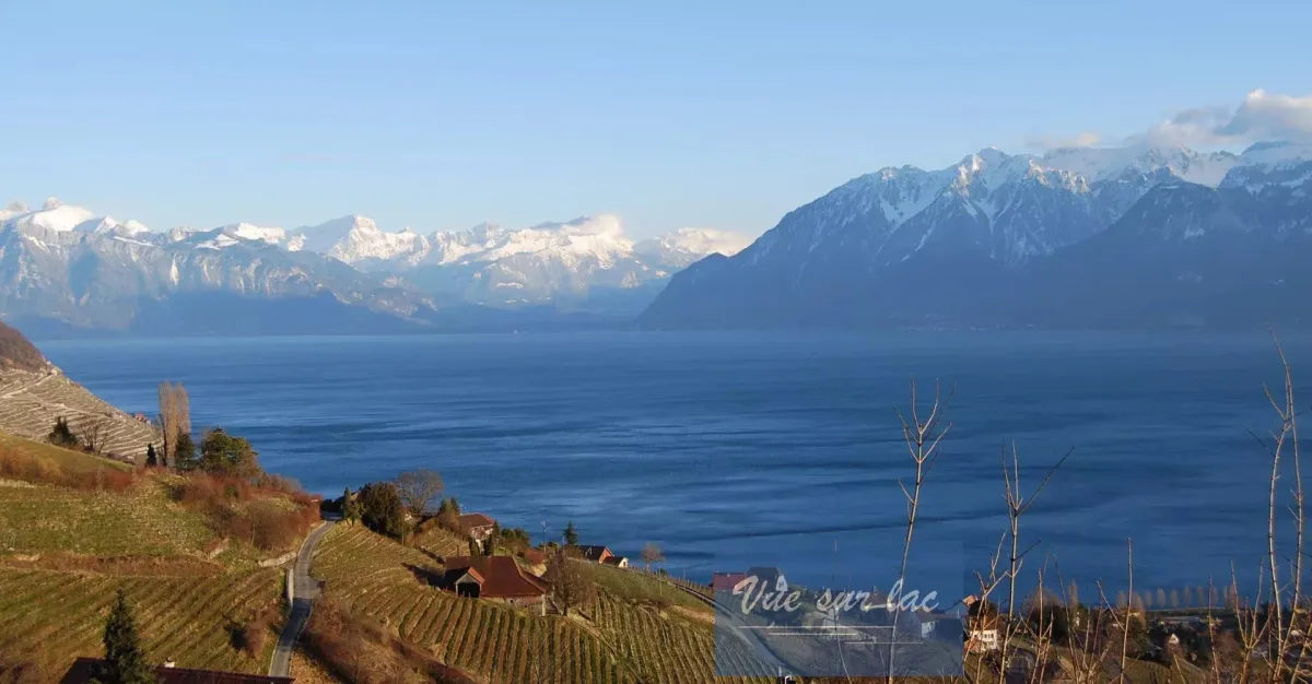 Grandvaux zu verkaufen Wohnung Schweiz - cChic-immoHub Ihr Immobilienportal