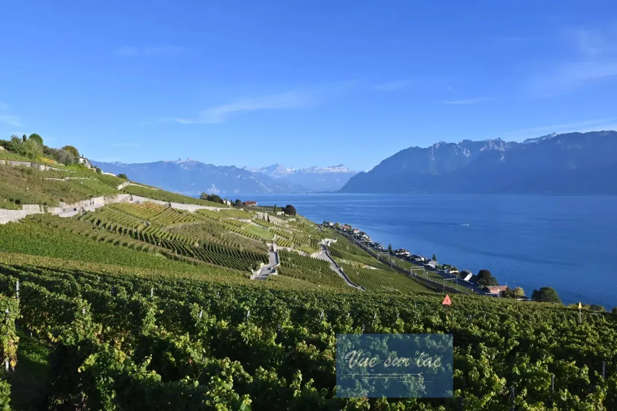 Grandvaux zu verkaufen Wohnung Schweiz - cChic-immoHub Ihr Immobilienportal