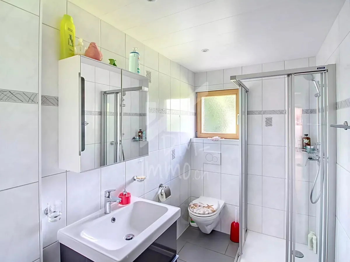 Troistorrents zu verkaufen Chalet Schweiz - cChic-immoHub Ihr Immobilienportal