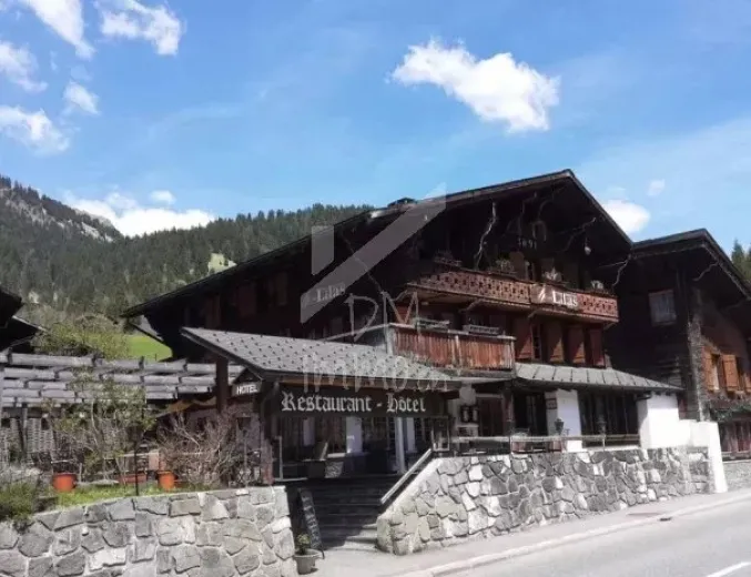 For sale Gastronomy Les Diablerets Switzerland - cChic-immoHub your real estate portal
