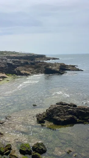 Haus zu verkaufen in Cascais - Einfamilienhaus zu verkaufen in Cascais, 6 Zimmer, 500 m2 - Smart Propylaia (15)
