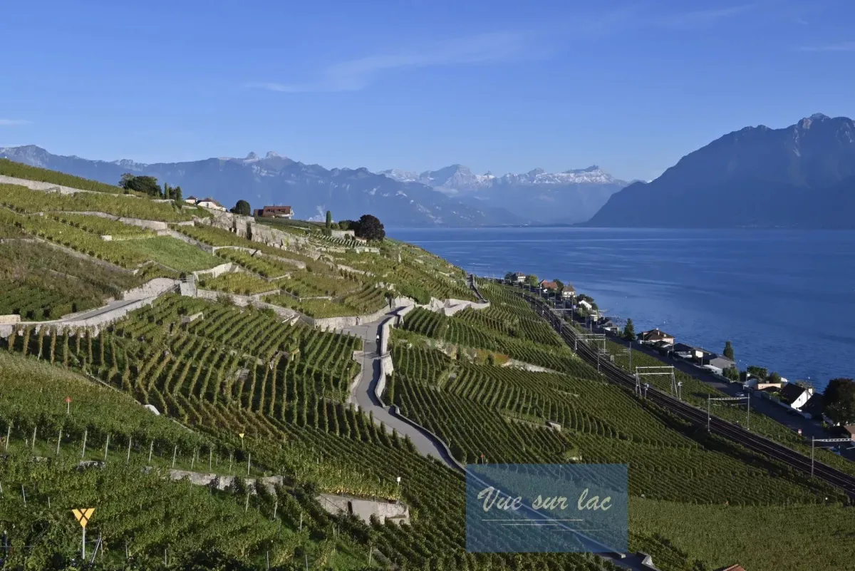 Grandvaux for sale Apartment Switzerland - cChic-immoHub your real estate portal