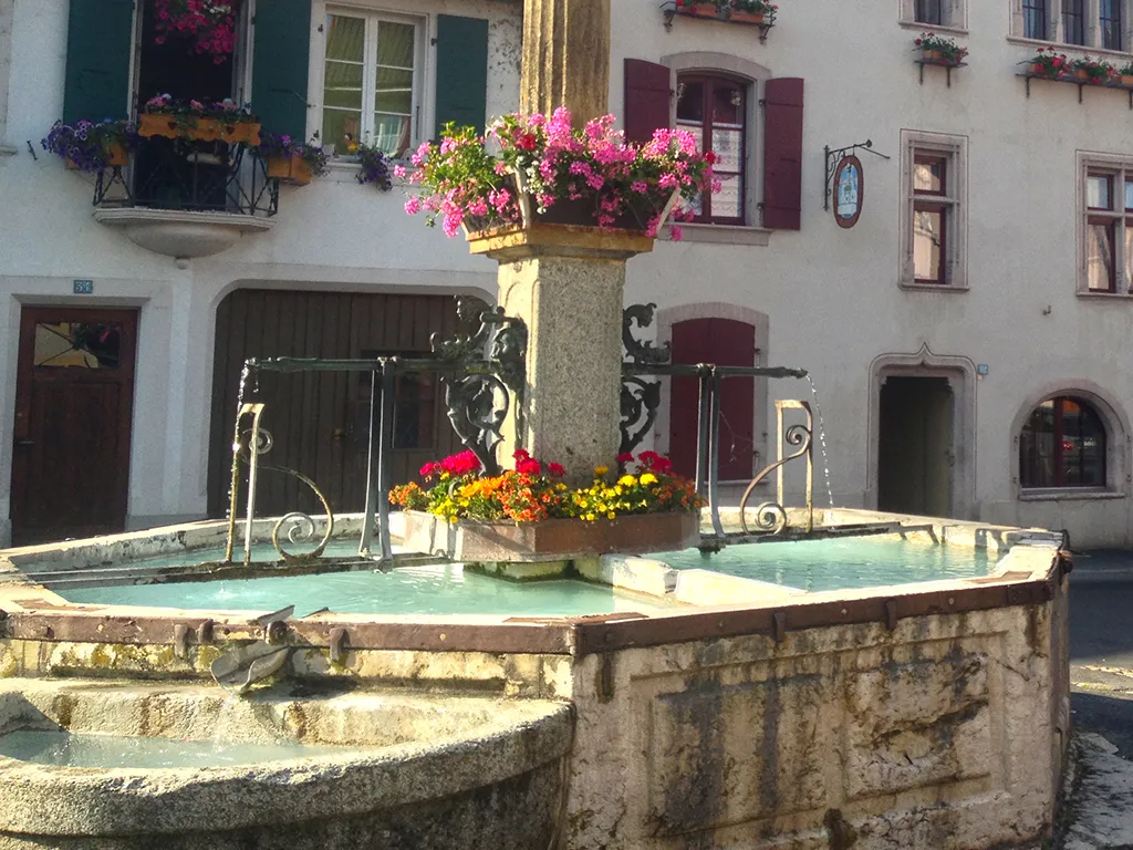Grandson à vendre Villa Suisse - cChic-immoHub votre portail immobilier