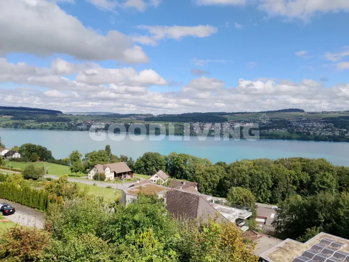 Zu verkaufen Birrwil Villa Schweiz - cChic-immoHub Ihr Immobilienportal