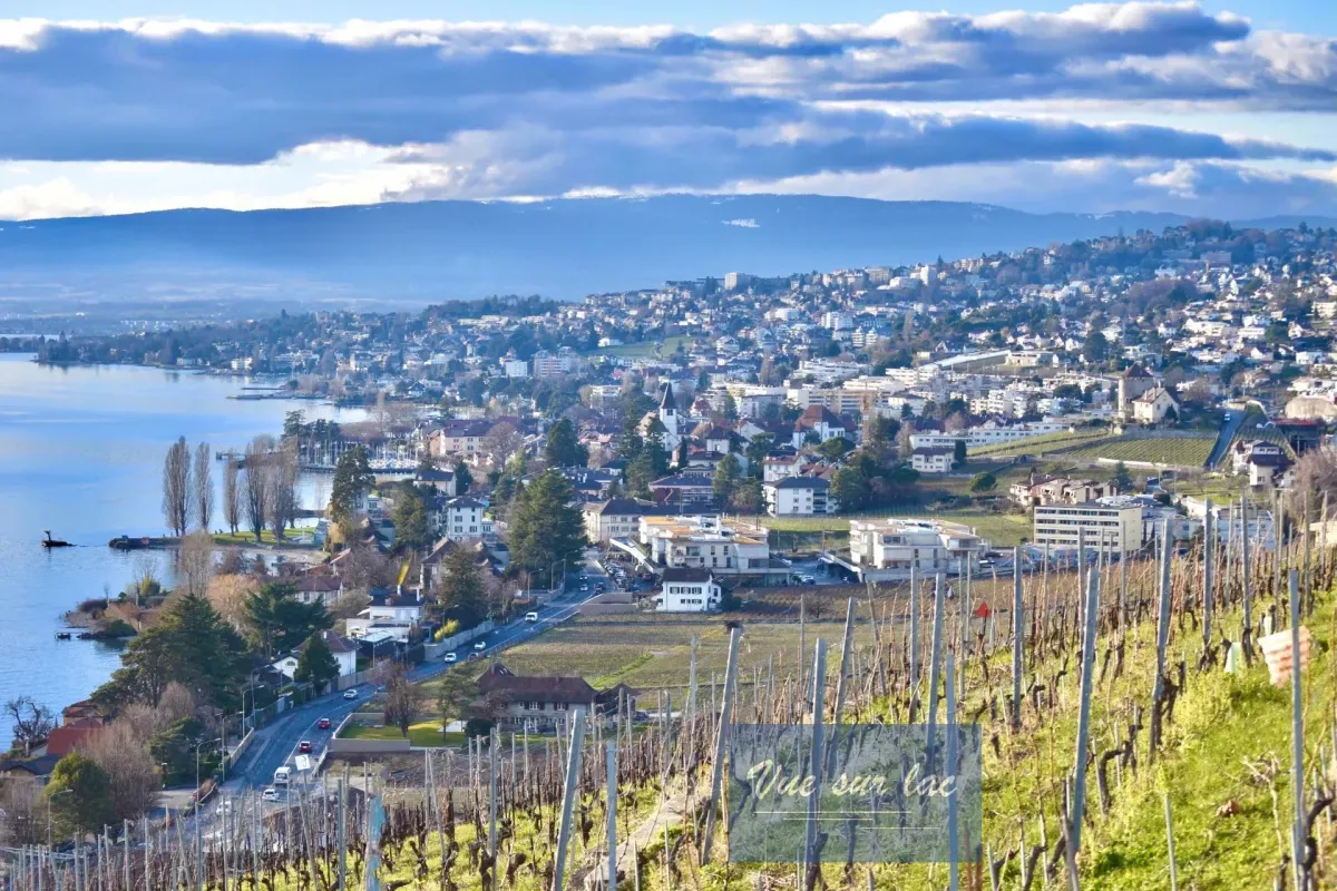 Grandvaux zu verkaufen Wohnung Schweiz - cChic-immoHub Ihr Immobilienportal