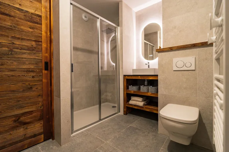 House for sale in Morzine - Smart Propylaia (2)