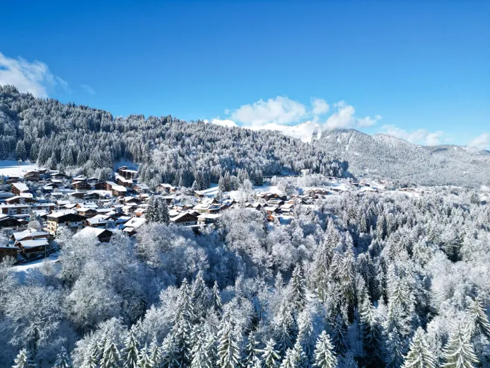 House for sale in Morzine - Smart Propylaia (17)