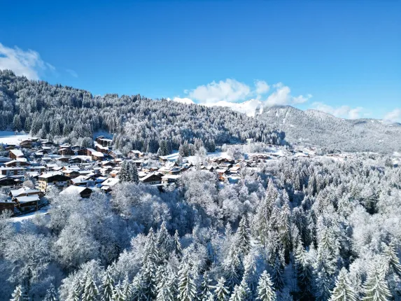 House for sale in Morzine (17)