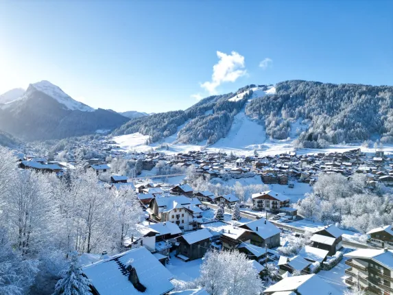 House for sale in Morzine (19)
