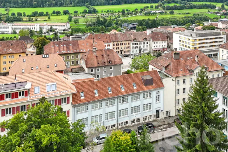 For sale Mont-Crosin Multiple dwelling Switzerland - cChic-immoHub your real estate portal