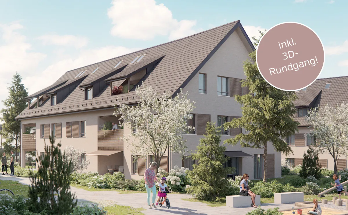 Birr zu verkaufen Dachwohnung Schweiz - cChic-immoHub Ihr Immobilienportal