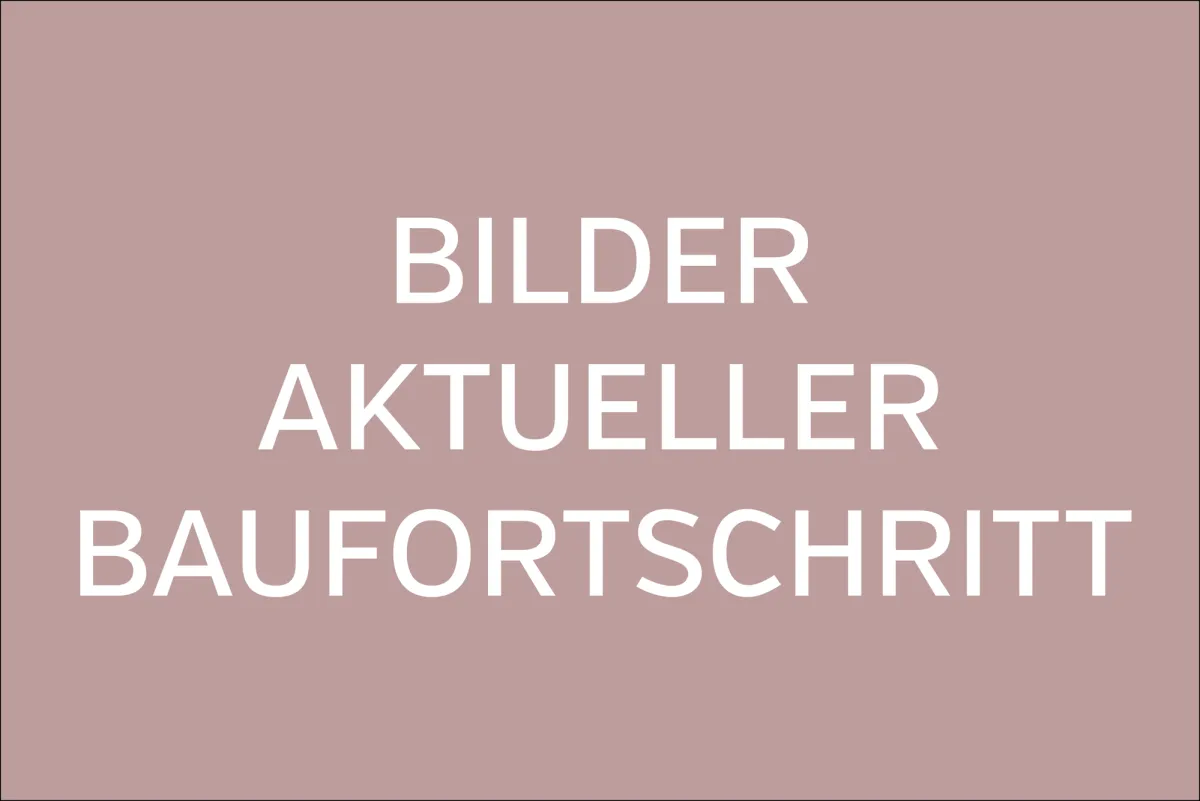 Birr zu verkaufen Dachwohnung Schweiz - cChic-immoHub Ihr Immobilienportal