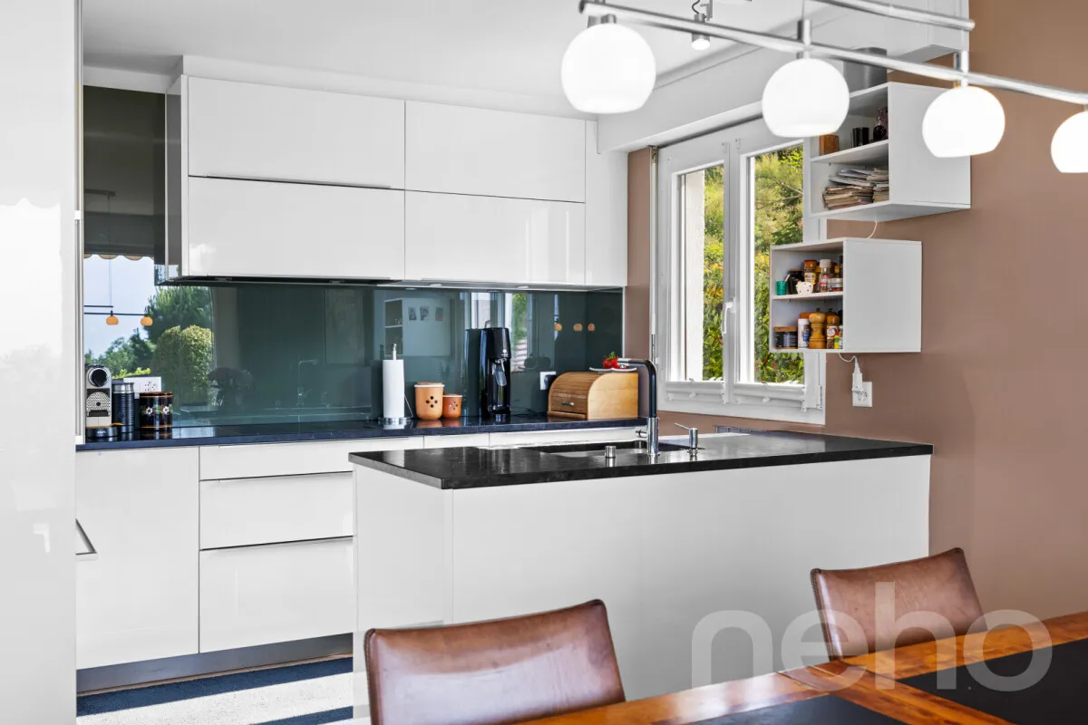 Belmont-sur-Lausanne for sale Terrace flat Switzerland - cChic-immoHub your real estate portal