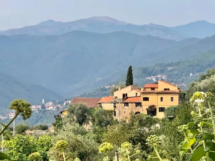 Wohnung zu verkaufen in Villanova d'Albenga- Ligo - Landhaus mitten im Grünen - Smart Propylaia (18)