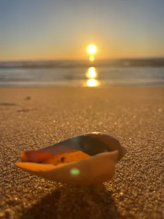 Casa in vendita a SESIMBRA (4)