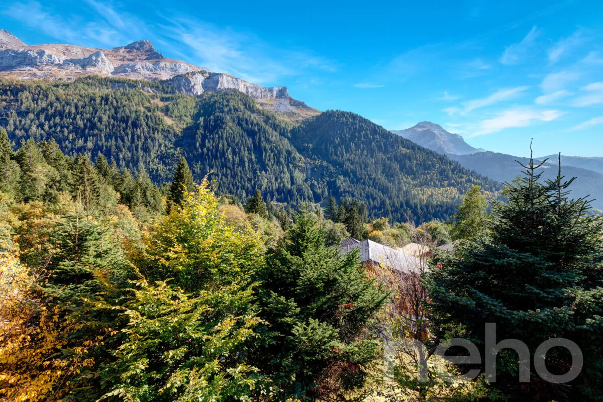 Les Diablerets zu verkaufen Einfamilienhaus Schweiz - cChic-immoHub Ihr Immobilienportal